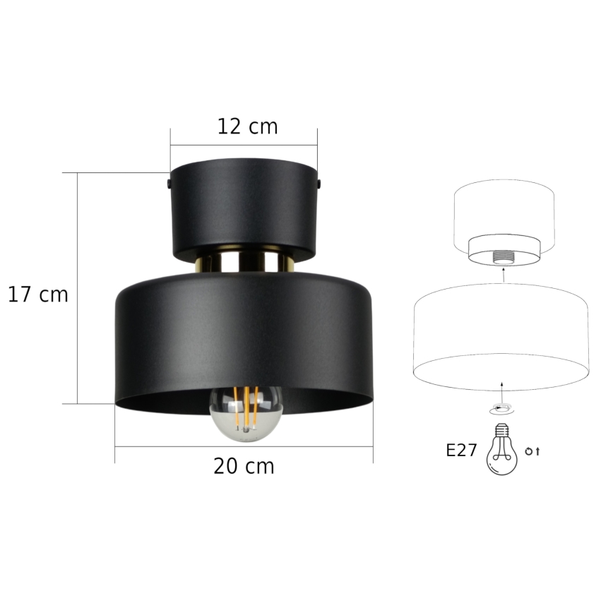 IGNIA Ceiling Light 1x E27/60W/230V Black/Gold