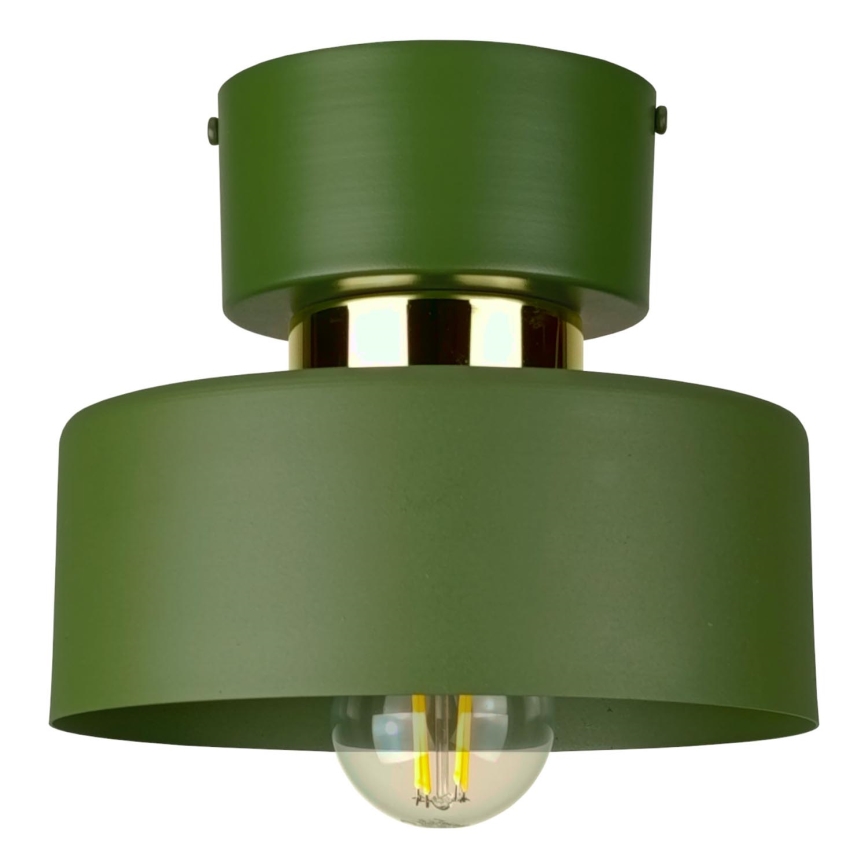 IGNIA ceiling light 1x E27/60W/230V green