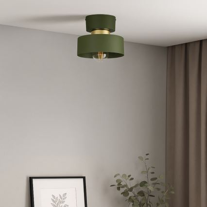 IGNIA ceiling light 1x E27/60W/230V green