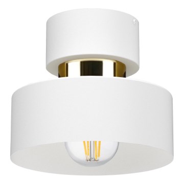 IGNIA Ceiling Light 1x E27/60W/230V White/Gold