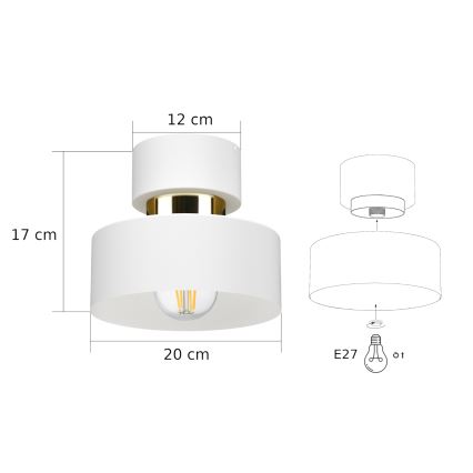 IGNIA Ceiling Light 1x E27/60W/230V White/Gold