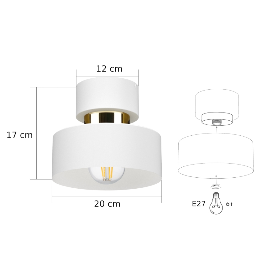 IGNIA Ceiling Light 1x E27/60W/230V White/Gold