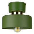 IGNIA Ceiling Light 1xE27/60W/230V Green/Gold