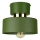 IGNIA Ceiling Light 1xE27/60W/230V Green/Gold
