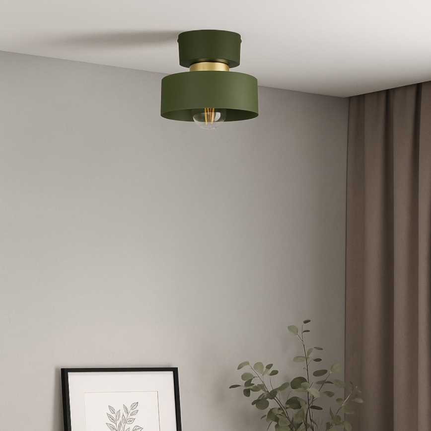 IGNIA Ceiling Light 1xE27/60W/230V Green/Gold