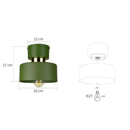 IGNIA Ceiling Light 1xE27/60W/230V Green/Gold