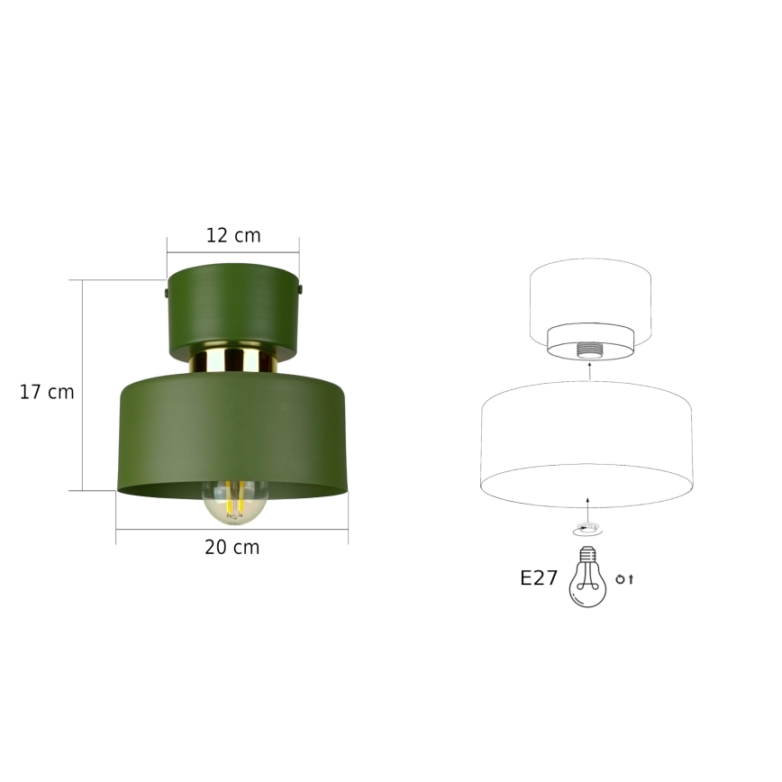 IGNIA Ceiling Light 1xE27/60W/230V Green/Gold