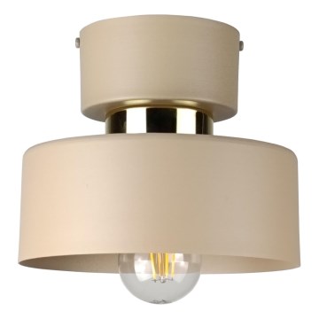 IGNIA Ceiling Light 1xE27/60W/230V taupe