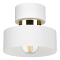 IGNIA Ceiling Light 1xE27/60W/230V White