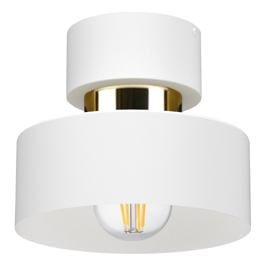IGNIA Ceiling Light 1xE27/60W/230V White