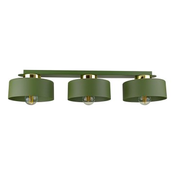 IGNIA Ceiling Light 3xE27/60W/230V Green/Gold