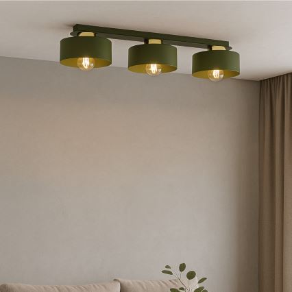 IGNIA Ceiling Light 3xE27/60W/230V Green/Gold