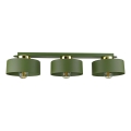 IGNIA Ceiling Light 3xE27/60W/230V, Green
