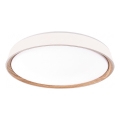 ILVI Dimmable LED Ceiling Light LED/30W/230V 2700-6500K Ø 40 cm White/Beige + Remote Control