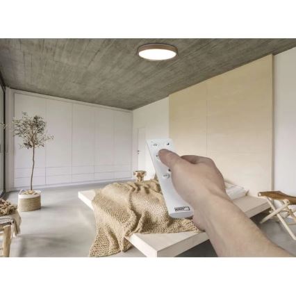 ILVI Dimmable LED Ceiling Light 45W/230V 2700-6500K Ø50 cm Beige + Remote Control