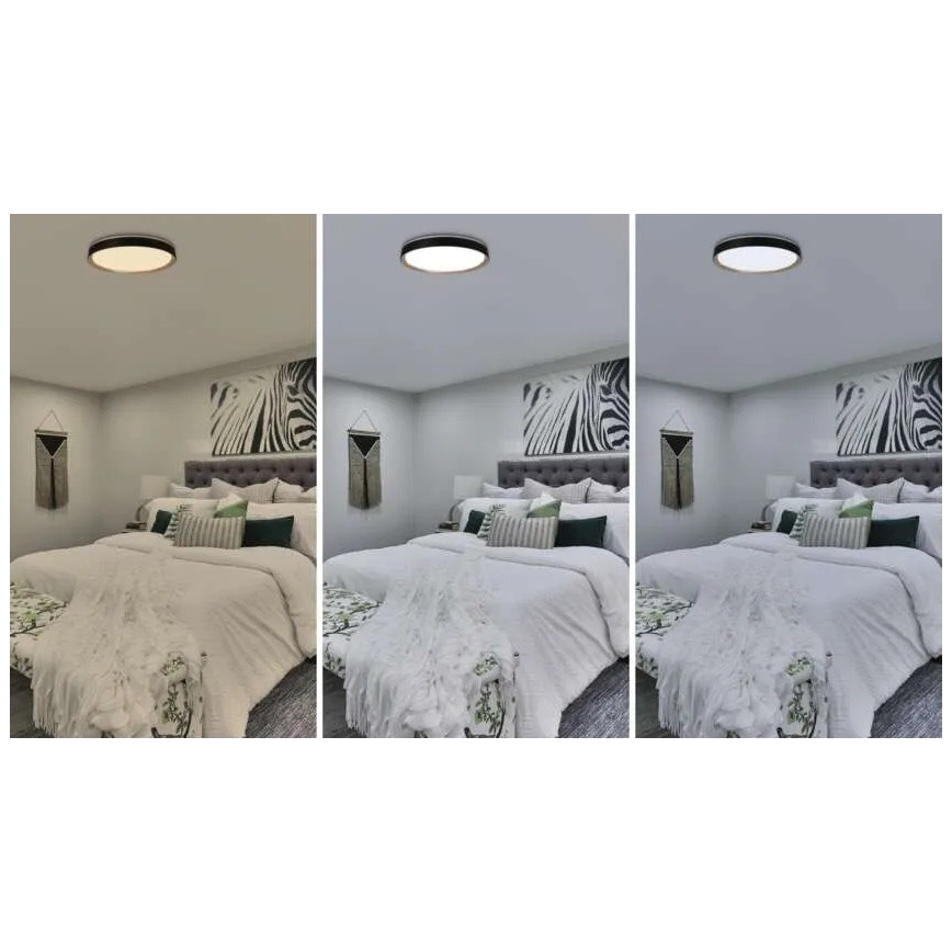 Dimmable LED Ceiling Light ILVI LED/45W/230V 2700-6500K Ø 50 cm black/beige + remote control