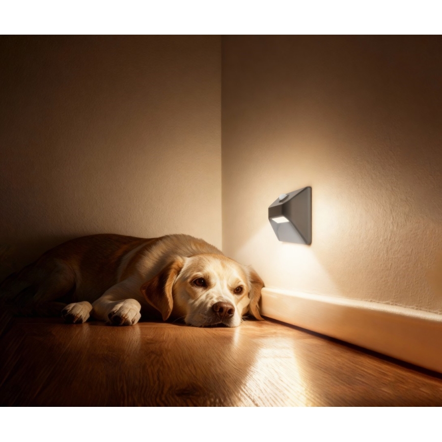 Rechargeable LED Staircase Light with Motion and Dusk Sensor STEP LIGHT 0.3 W / 3.7 V / 2200 mAh IP53 Gray