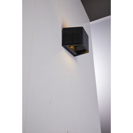 LED Solar wall light with a sensor LED/2W/5V IP54
