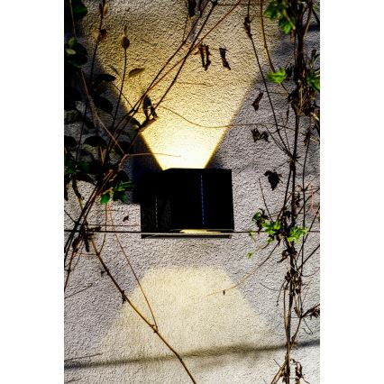 LED Solar wall light with a sensor LED/2W/5V IP54
