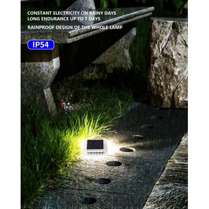 LED Outdoor solar lighting with sensor LED/0,03W/1,2V IP54
