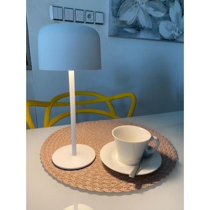 LED Dimmable outdoor solar lamp LED/4W/5V 3600mAh IP44