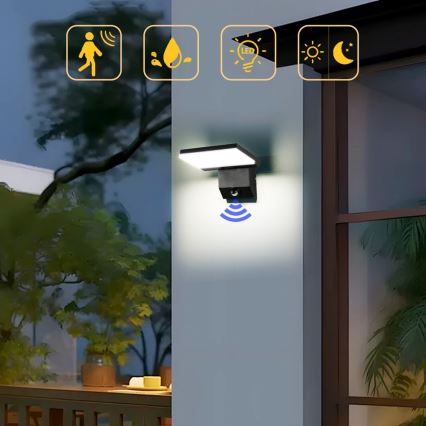 LED Outdoor Wall Light with Sensor MODERN LED/18W/230V IP65