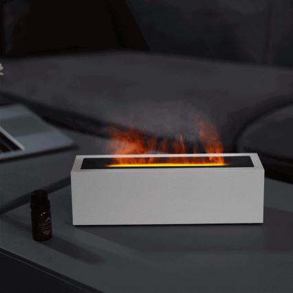 LED Aroma diffuser and air humidifier with flame imitation LED/10W/5V