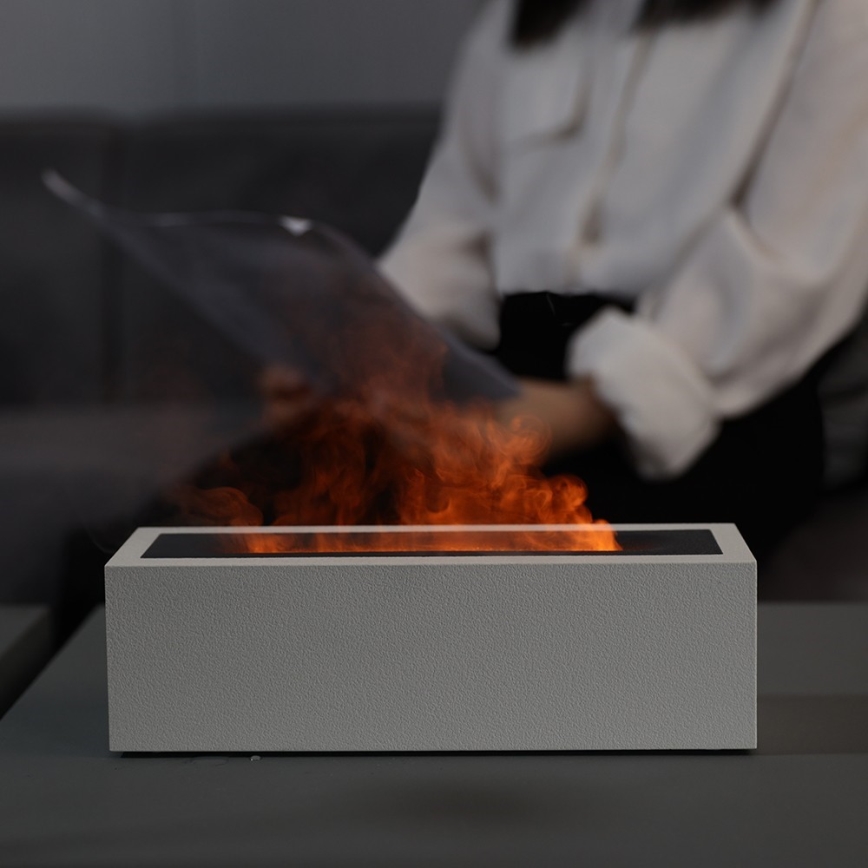 LED Aroma diffuser and air humidifier with flame imitation LED/10W/5V