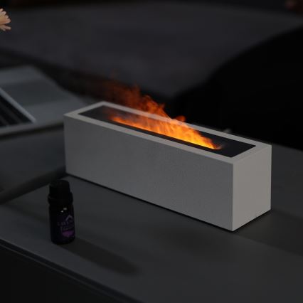 LED Aroma diffuser and air humidifier with flame imitation LED/10W/5V