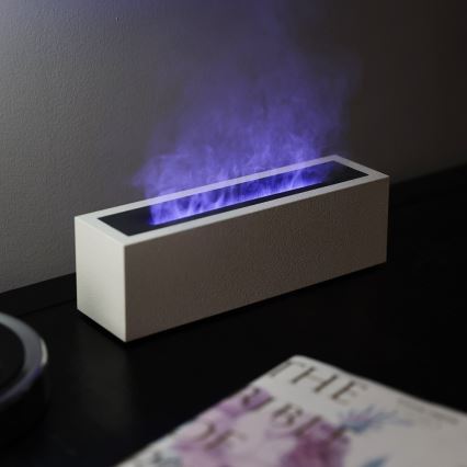 LED Aroma diffuser and air humidifier with flame imitation LED/10W/5V
