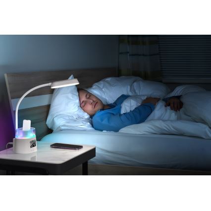 LED RGBW Dimmable table lamp with a pencil holder FALCON LED/10W/5V