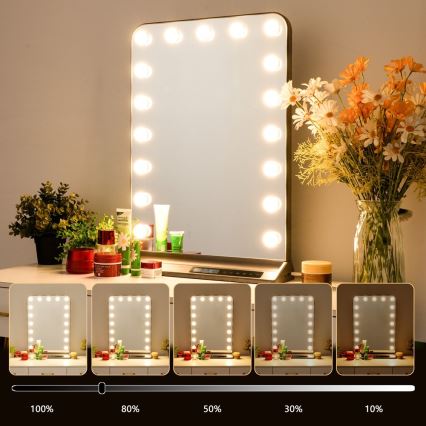Dimmable HOLLYWOOD LED makeup mirror LED/18W/230V 3000/4200/6000K gray