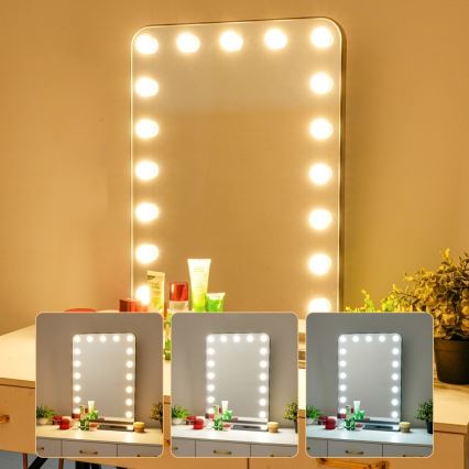 Dimmable HOLLYWOOD LED makeup mirror LED/18W/230V 3000/4200/6000K gray