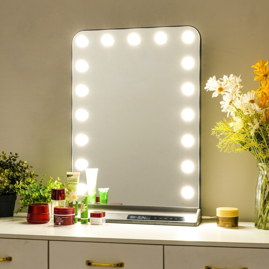 Dimmable HOLLYWOOD LED makeup mirror LED/18W/230V 3000/4200/6000K gray