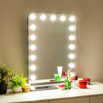 Dimmable HOLLYWOOD LED makeup mirror LED/18W/230V 3000/4200/6000K gray