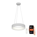 Immax NEO 07020L - LED Dimmable chandelier on a string with remote control AGUJERO LED/30W/230V Tuya