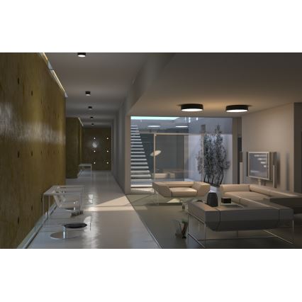 Immax NEO 07023L-15 - LED Dimmable ceiling light RONDATE black LED/12W/230V Tuya