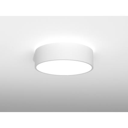 Immax NEO RONDATE - LED Ceiling light with a remote control LED/25W/230V