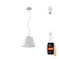 Immax NEO 07053L - LED RGBW Dimmable chandelier on a string CONO 1xE27/8,5W/230V 32 cm Tuya + remote control
