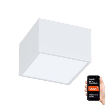 Immax NEO 07072L-15 - LED Dimmable light CANTO LED/12W/230V white Tuya