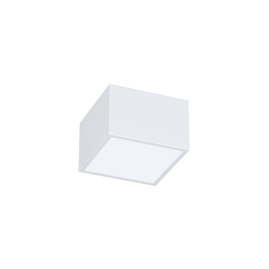 Immax Neo 07072L-15BD - Set 2x LED Dimmable ceiling light CANTO 2xLED/12W/230V + remote control Tuya