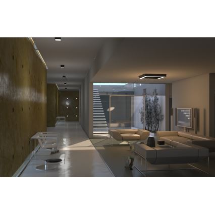 Immax Neo 07072L-15BD - Set 2x LED Dimmable ceiling light CANTO 2xLED/12W/230V + remote control Tuya