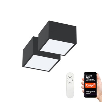 Immax Neo 07074L-15BD - Set 2x LED Dimmable ceiling light CANTO 2xLED/12W/230V + remote control Tuya