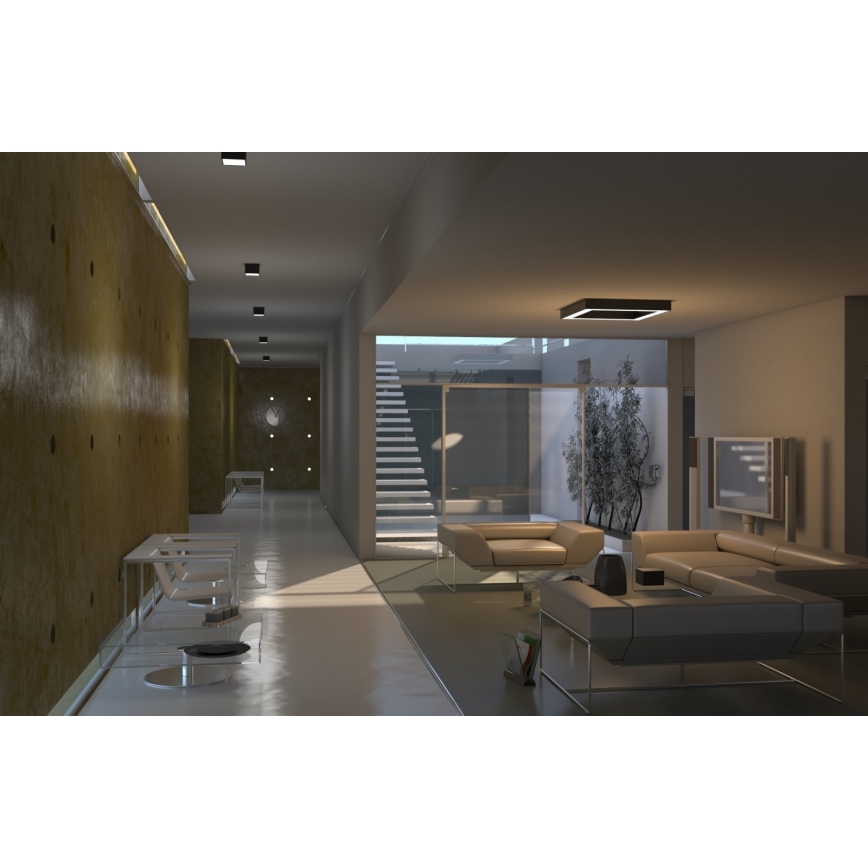 Immax Neo 07074L-15BD - Set 2x LED Dimmable ceiling light CANTO 2xLED/12W/230V + remote control Tuya