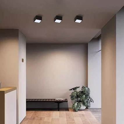 Immax Neo 07074L-15BD - Set 2x LED Dimmable ceiling light CANTO 2xLED/12W/230V + remote control Tuya