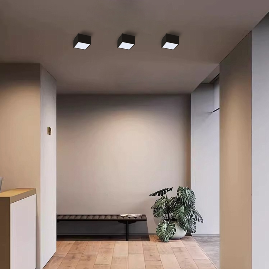 Immax Neo 07074L-15BD - Set 2x LED Dimmable ceiling light CANTO 2xLED/12W/230V + remote control Tuya