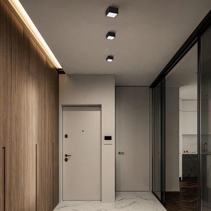 Immax Neo 07074L-15BD - Set 2x LED Dimmable ceiling light CANTO 2xLED/12W/230V + remote control Tuya