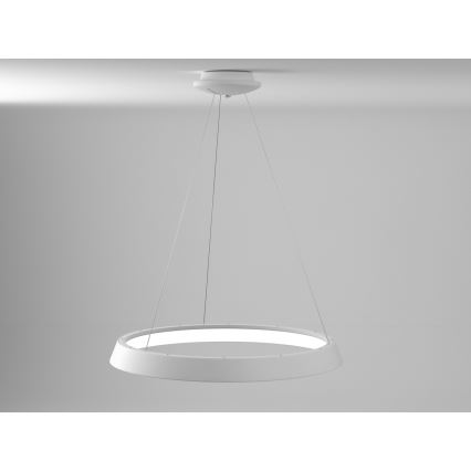Immax NEO 07079L-80 - LED Dimmable chandelier on a string LIMITADO LED/48W/230V 80 cm Tuya + remote control