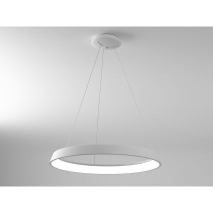 Immax NEO 07079L - LED Dimmable chandelier on a string LIMITADO LED/39W/230V 60 cm Tuya + remote control