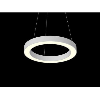 Immax NEO 07091L - LED Dimmable chandelier on a string PASTEL LED/52W/230V 60 cm white Tuya + remote control